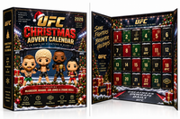 Fighter Advent