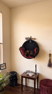 Goth Cat Den