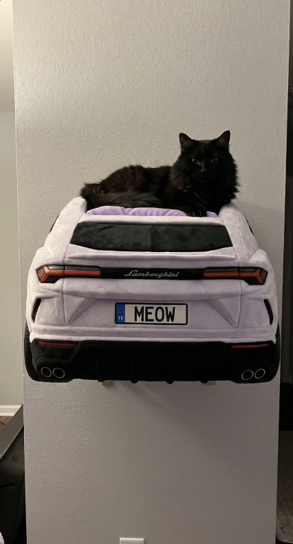 Car Cat Bed