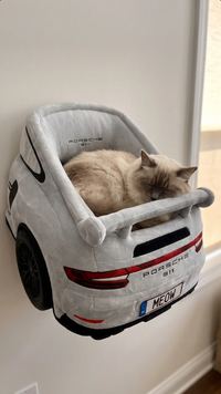 Car Cat Bed