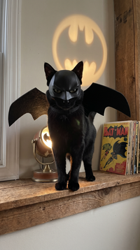 The Bat Cat Costume