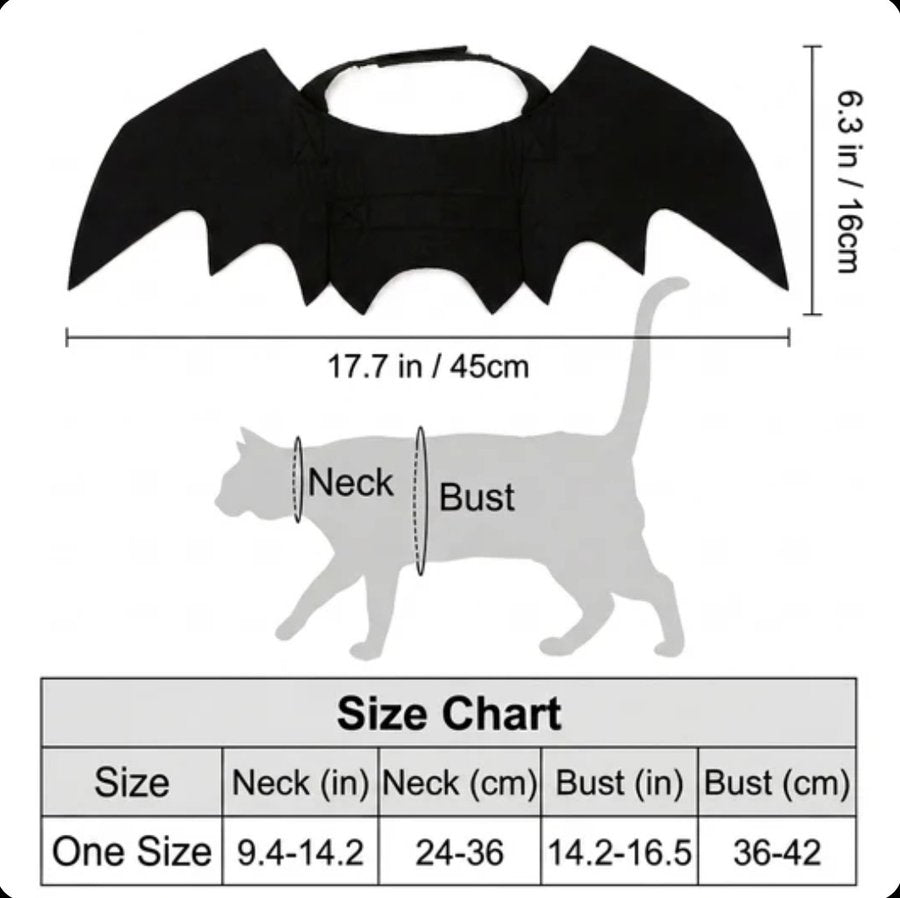 Fits most cats — one size